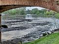 adda (106)